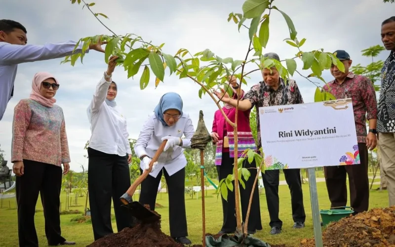 Otorita IKN yang sedang penanaman pohon guna membentuk budaya baru (foto:istimewa).
